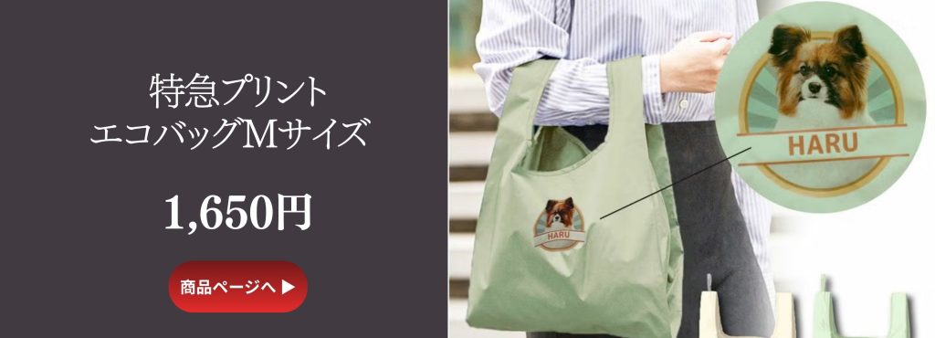 特急オリジナルプリントエコバッグMサイズ