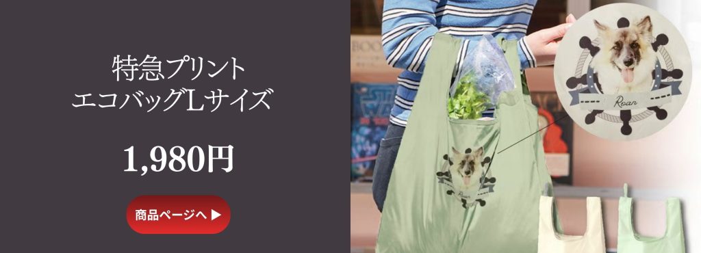特急オリジナルプリントエコバッグLサイズ